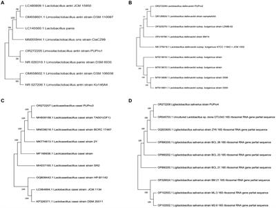 Isolation and in vitro assessment of chicken gut microbes for probiotic potential